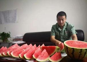 今日份快乐吃瓜群众,快乐吃瓜群众的热议焦点  第2张