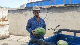 今日份快乐吃瓜群众,快乐吃瓜群众的热议焦点  第3张