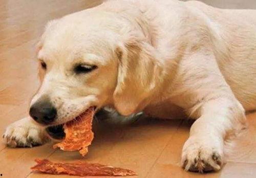 娱乐吃瓜酱小孩扇狗狗嘴巴子,娱乐吃瓜酱见证温馨一幕  第2张