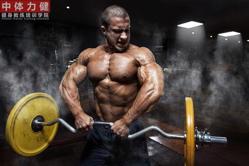 五一今日吃瓜-往期健身教练,回顾往期健身教练风采  第2张