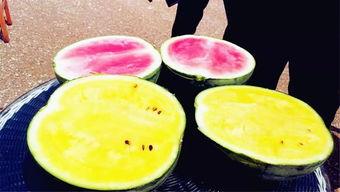 最新吃瓜爆料1207,娱乐圈最新八卦大揭秘! 第3张 最新吃瓜爆料1207,娱乐圈最新八卦大揭秘! 第3张