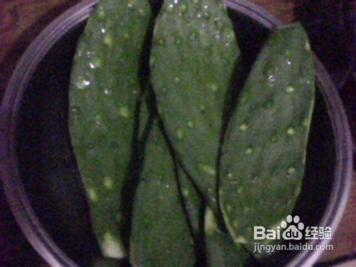 仙人掌吃瓜娱乐,仙人掌与瓜果的奇幻娱乐之旅  第3张