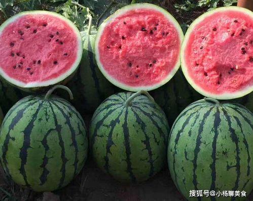 不舍昼夜吃瓜娱乐,揭秘不舍昼夜的娱乐盛宴  第2张