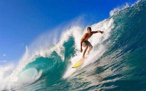 娱乐吃瓜君冲浪,揭秘娱乐圈最新热点事件  第2张