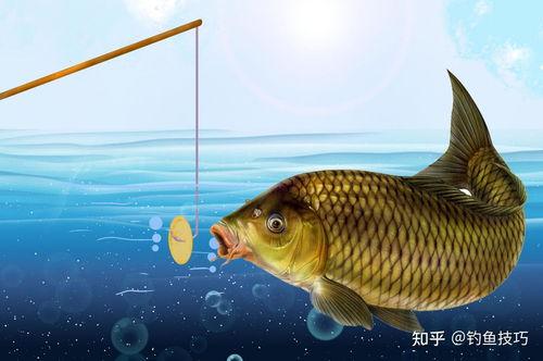 吃瓜娱乐小鲤鱼视频,趣味视频引网友热议 第3张 吃瓜娱乐小鲤鱼视频,趣味视频引网友热议 第3张