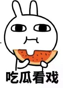 娱乐吃瓜酱养老,揭秘养老生活新风尚  第2张