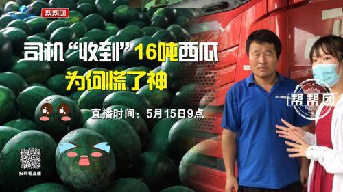 今日吃瓜完整版免费,完整版免费放送，热点追踪不容错过  第3张