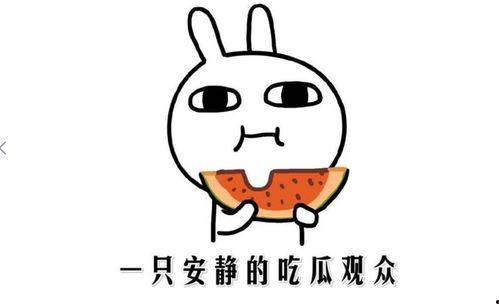 我在吃瓜什么意思,揭秘“吃瓜群众”背后的网络现象  第3张